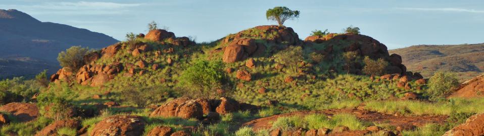 Coordinate Supporting Indigenous Scripture in Central Australia